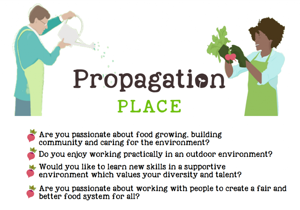 Propagation Place advert for Horticulture & Gardening Assistants