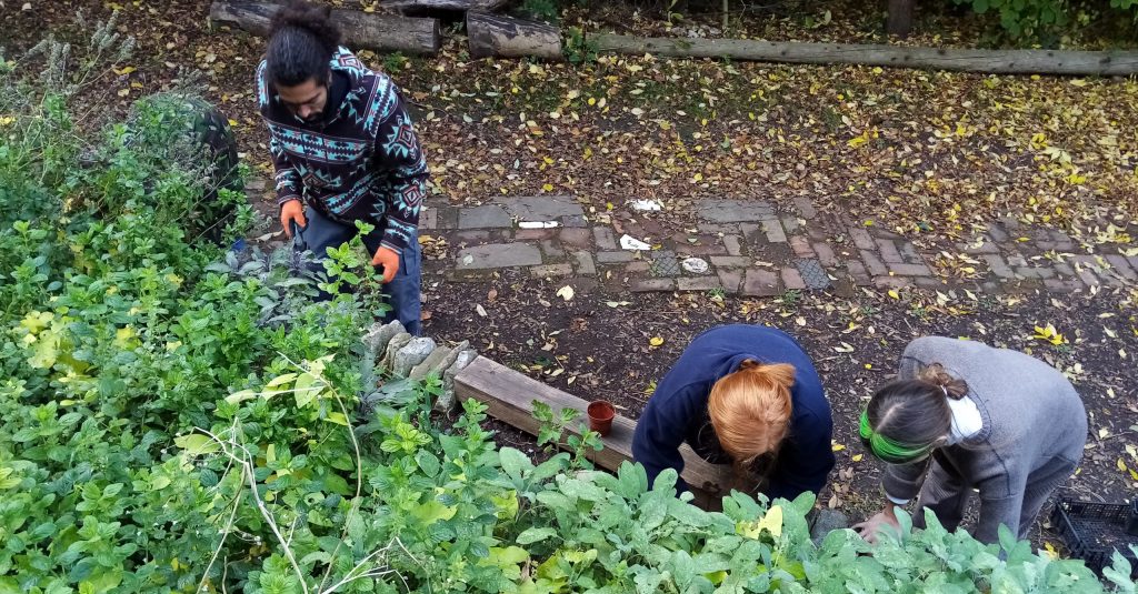Volunteers gardening in Boiling Wells